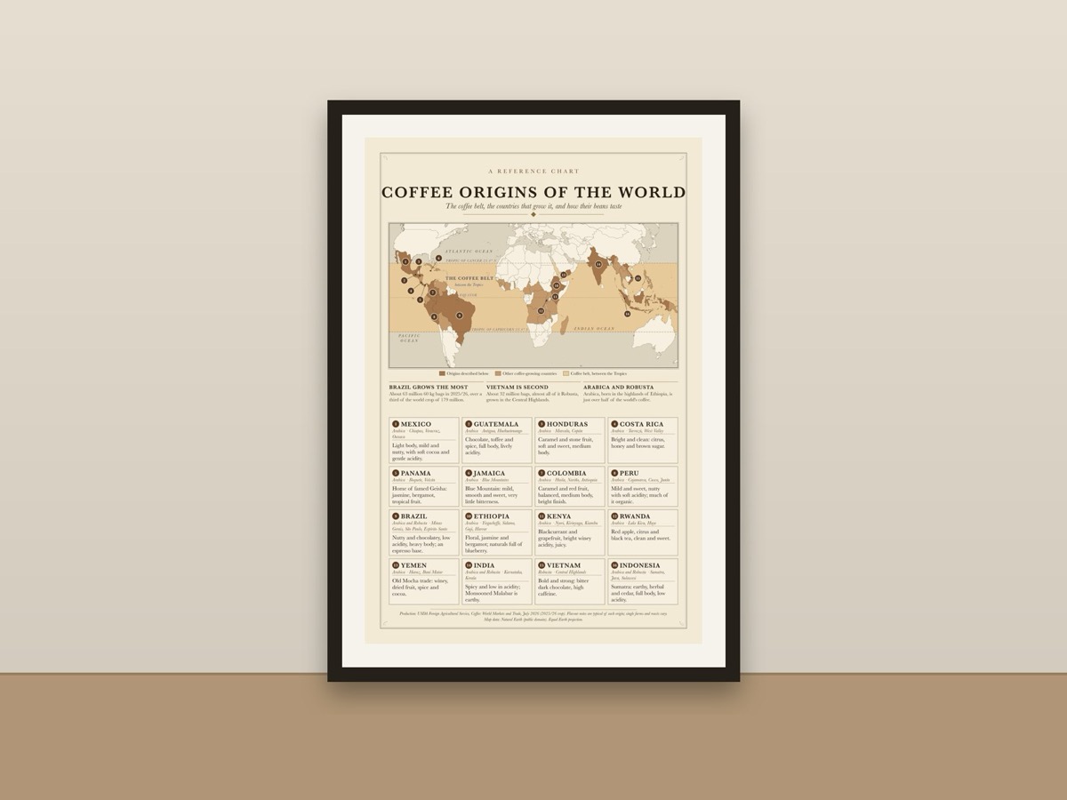Coffee Origins Poster – Coffee Belt World Map and Flavour Notes Reference Print framed on a wall