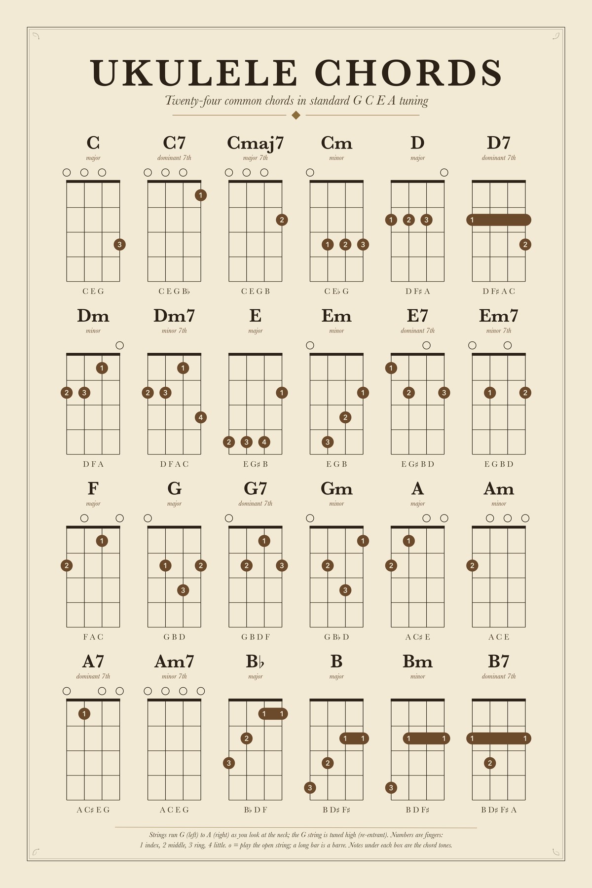 Ukulele Chords chart: Twenty-four common chords in standard G C E A tuning