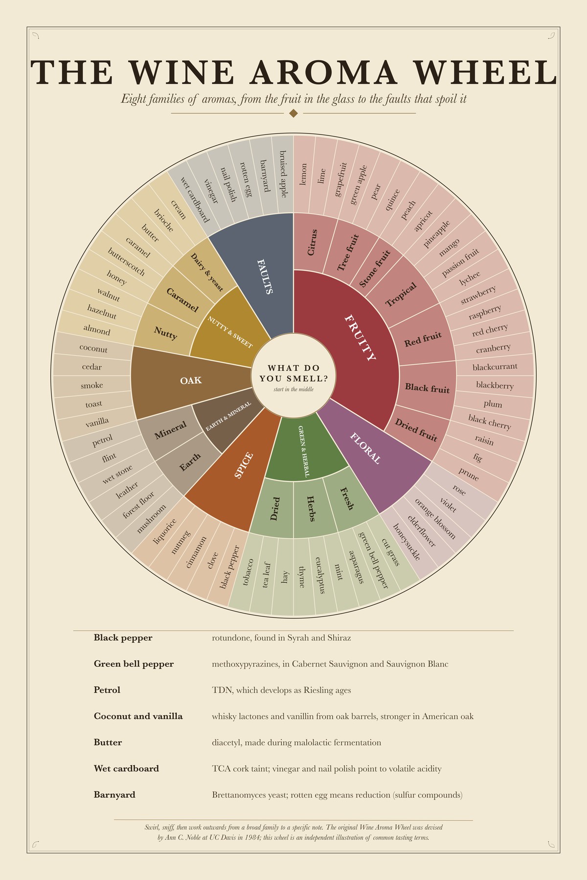 The Wine Aroma Wheel chart: Eight families of aromas, from the fruit in the glass to the faults that spoil it
