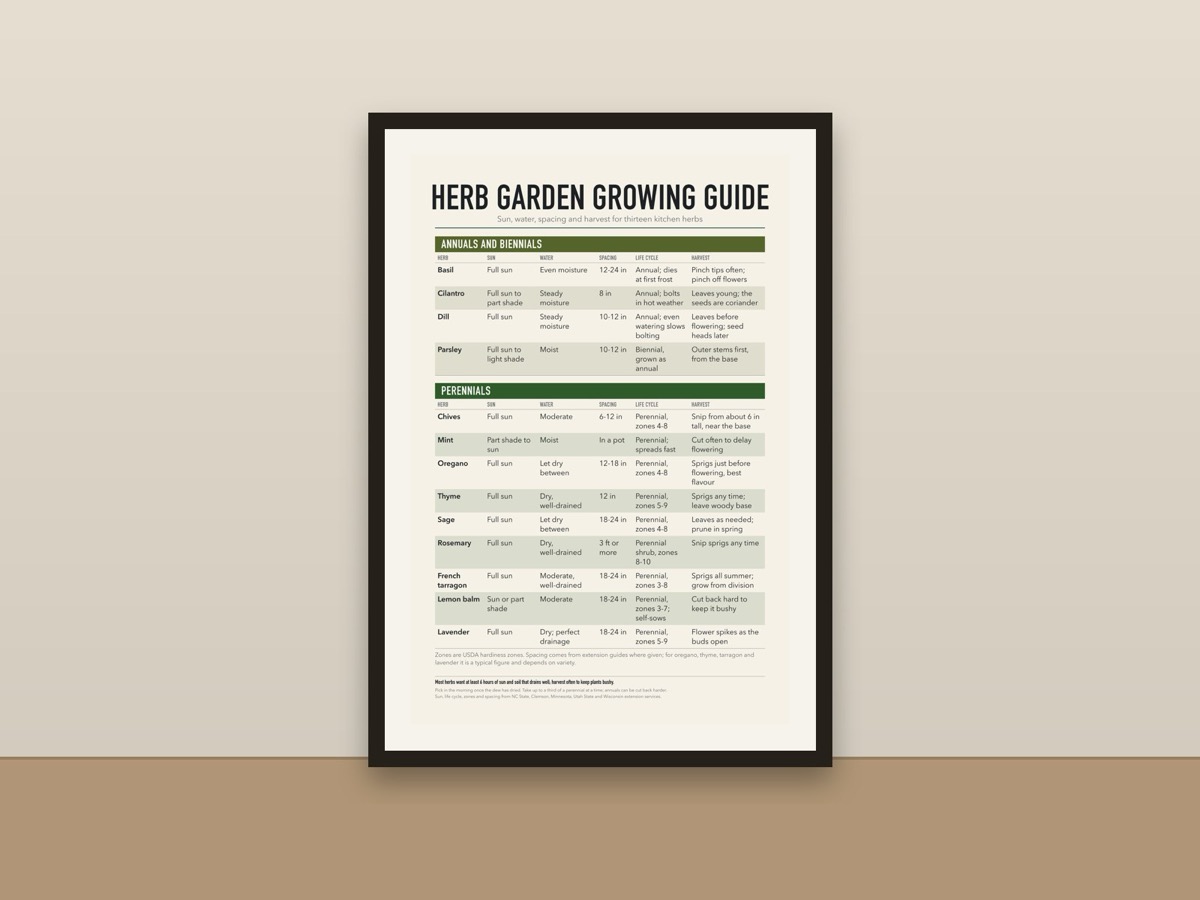 Herb Garden Guide Poster – How to Grow Basil, Mint, Rosemary and Kitchen Herbs Chart Print framed on a wall
