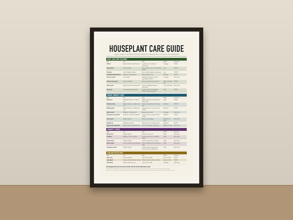 Houseplant Care Guide Poster – Light, Water, Humidity and Pet Safe Plants Chart Print framed on a wall
